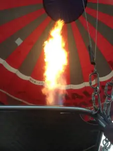 400674_10151467311786312_507755586_n