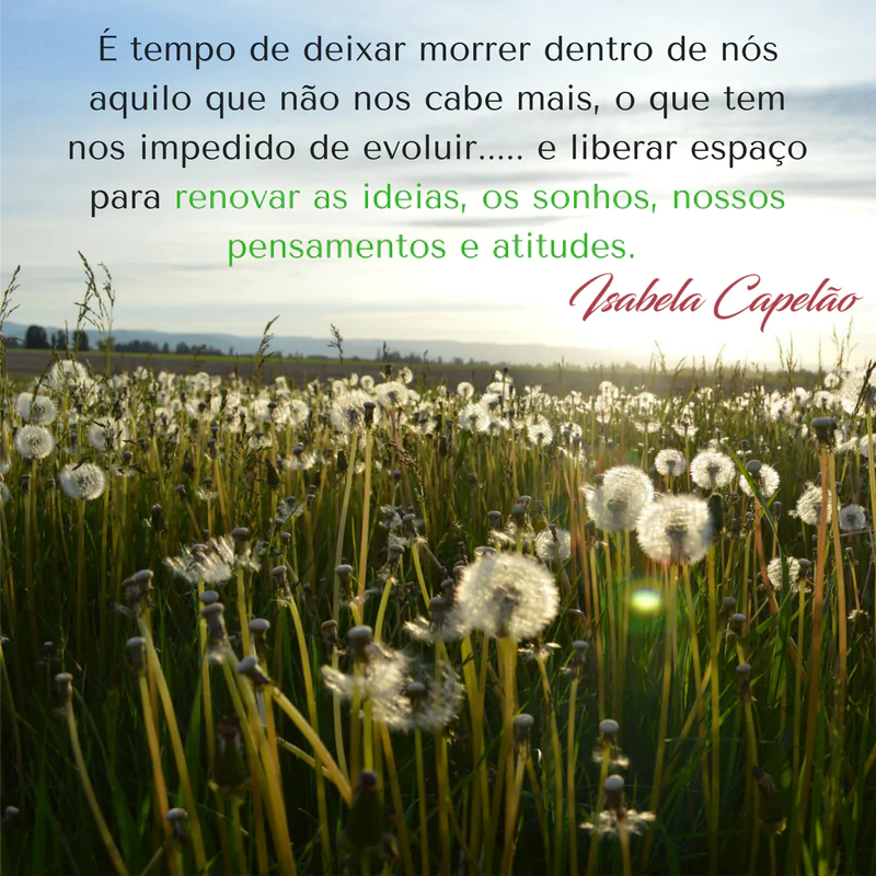 É tempo de deixar morrer